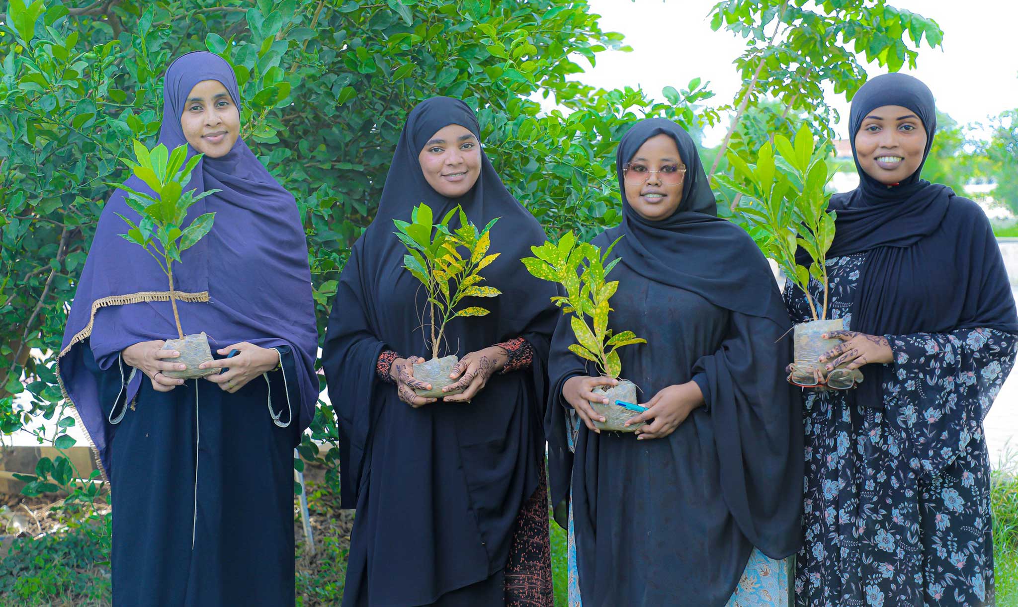 Mogadishu University Celebrates World Press Freedom Day with a Green Initiative